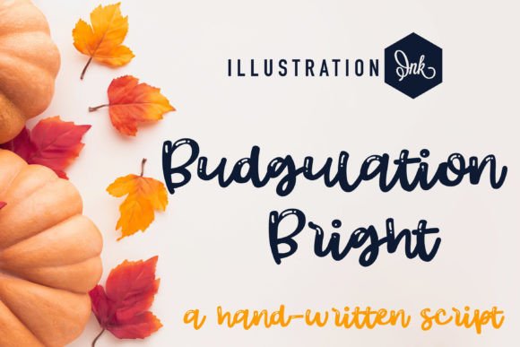 Budgulation: A Script Font for Editorial Magic