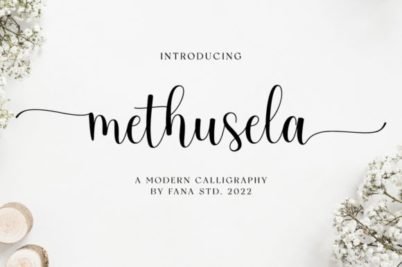 Methusela: A Font That Breathes Life Into Your Editorial Design