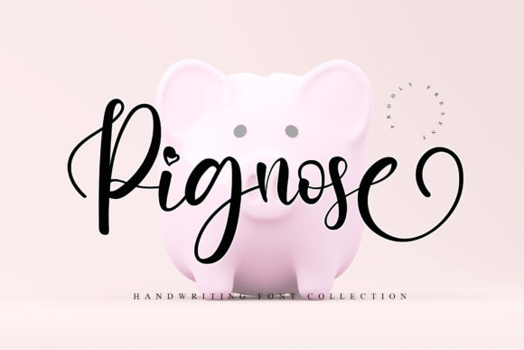 Pignose: The Font That Elevates Your Campaigns